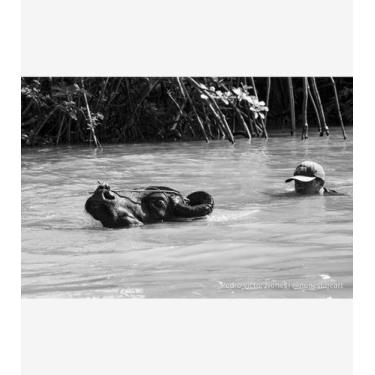 Imagem de Emergir - Amazart, 40x60