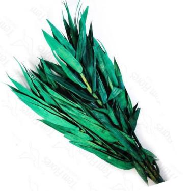 Imagem de Folha Navalha Capim Navalha Buque Flores Secas - Pense Flores, Verde