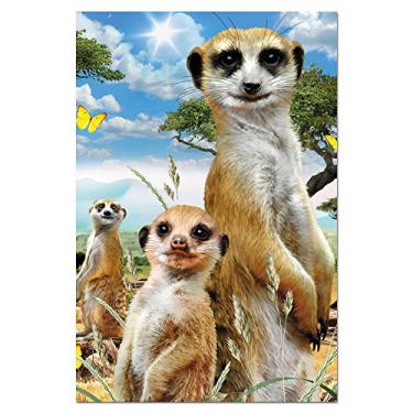 Imagem de Tree-Free Greetings - Cartões para todas as ocasiões - Designs artísticos - 12 cartões de felicitações + envelopes brancos - Feito nos EUA - 100% papel reciclado - 10 x 6 - Meerkats (FS66804)