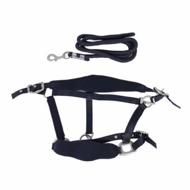 Imagem de Halter de Cavalo, Poliéster Ajustável Com Acolchoamento Antifricção 2m Trela de Cavalo para Treinamento e Uso Diário (Pequeno)