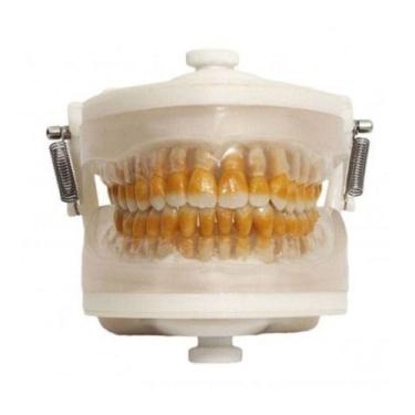 Imagem de Manequim Pronew Top - Periodontia I