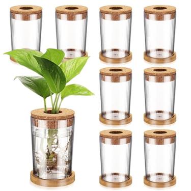 Imagem de Baderke 9 pacotes de vasos de propagação para plantas, estação de propagação de plantas de plástico com tampa de furo e suporte de bambu crescendo em água hidropônica decoração de mesa de escritório