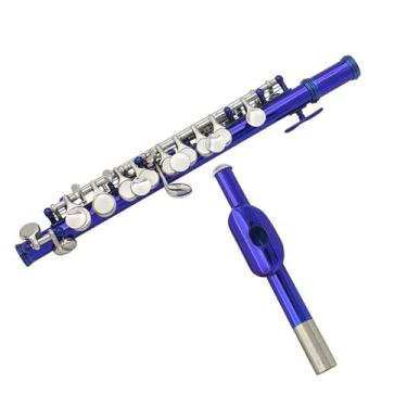 Imagem de Flauta Piccolo 16 furos com chave E, cobre branco, banhado a níquel, meio tamanho com estojo de couro