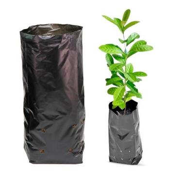 Imagem de Pacote Para Mudas 8x15 Saquinho Plantas Erva Café Maracuja - Sem Marca