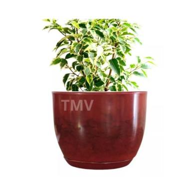 Imagem de Vaso De Planta Flor Cone Decorativo Luxo Polietileno N1-VERMELHO - Trê