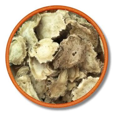 Imagem de Angélica Raiz Natural 1kg - Flora Ervas
