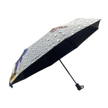 Imagem de Sombrinha Automática Estampada Mod5 N230642-7 - Quanhe