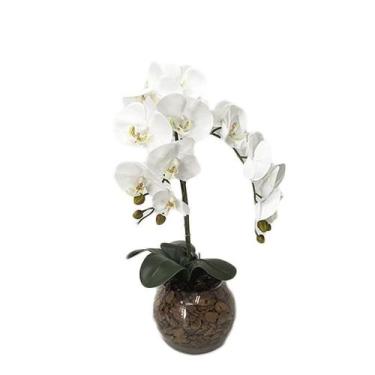 Imagem de Orquídea Branca x2 Vaso Aquário - Biofil