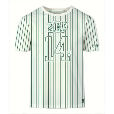 Imagem de Camiseta Palmeiras Listras SEP 14 - Masculino-Masculino