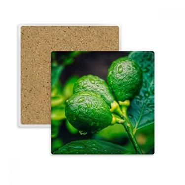Imagem de Porta-copos quadrado para fotografia de limão Fresh Fruits com moldura de limão