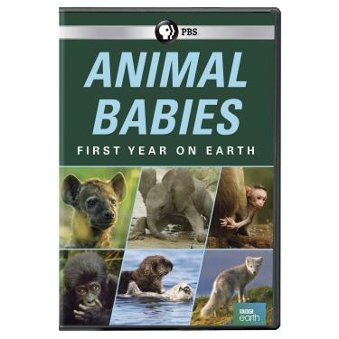 Imagem de Animal Babies: First Year On Earth