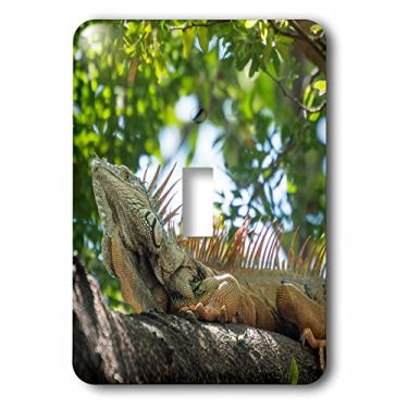 Imagem de 3dRose lsp_229220_1 México, Puerto Vallarta. Iguana. Lagartos de árvore. Interruptor de interruptor único