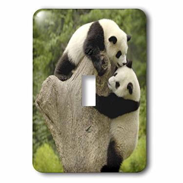 Imagem de 3dRose lsp_70213_1 Ursos panda gigantes, Conservação Wolong, interruptor de botão único da China