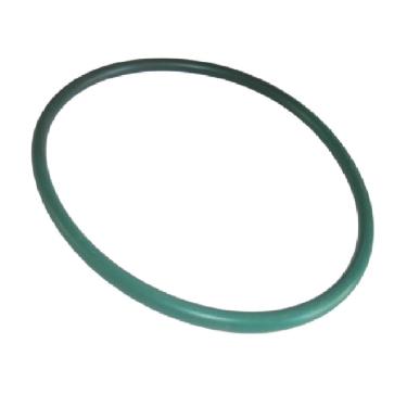 Imagem de Ford Fusion Anel Vedação Bomba Combustivel Genuíno