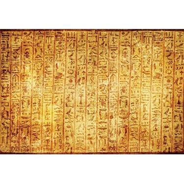 Imagem de OERJU Pano de fundo de hieróglifos egípcios antigos egípcios de 1,5 x 0,9 m fundo de fotografia de festa civilização arte egípcia fotos curso de arqueologia sessão de fotos história cultura mural pano