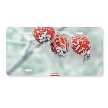 Imagem de DIYthinker Placa de licença Primeira Frost Twenty Four Solar Term Decoração de aço inoxidável Automobile Tag