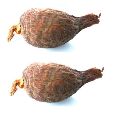 Imagem de Fava de Atare Pimenta da Costa Africana Ritual Umbanda Candomblé Exu K