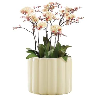 Imagem de Vaso de flores decorativo de cerâmica, vaso moderno bege para decoração de sala de estar, escritório e quarto, 11,4 cm x 9 cm
