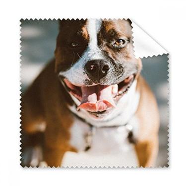 Imagem de Bulldog – Pano de limpeza de imagem assustadora para animais de estimação, 5 peças