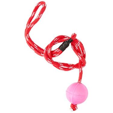 Imagem de Guia com Bola Maciça Atomo 55mm Pet Injet para Cães