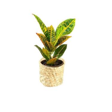 Imagem de Cachepô Flor Taboa Organizador Fibra Natural Decorativo - FibraDecor, 