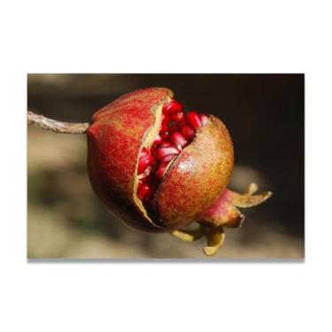 Imagem de LKXGRRSFG Impressão em tela Accept Everything That Happens Fresh Fruit & Real-Shot Scenery – Arte de parede vibrante para decoração de cozinha e sala de estar, 50 x 50 cm, sem moldura