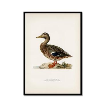 Imagem de Impressão de pato vintage rústico Pato Pato Pato Lago pôster de arte de parede retrô natureza pintura em tela imagens decoração de quarto de fazenda (SKU13,20.3x30.5 cm = (20x30cm), moldura de metal