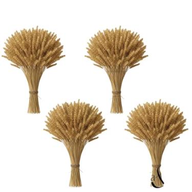 Imagem de 400 Hastes De Trigo Seco Para Decoração Festa Enfeites Artigos Mesa Arranjo Elegante, Wedding Venues & Home Altars, Long-Lasting Beauty Without Care(04 Maços (160 Hastes))