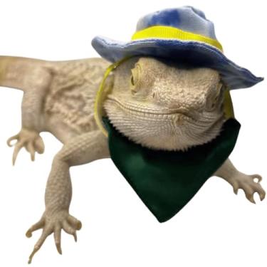 Imagem de 2 peças, chapéu de cowboy de dragão barbudo e bandana fantasia de réptil de lagarto de Halloween legal boné de animal pequeno para hamster traje cosplay esculpido (azul com verde)
