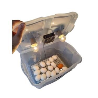 Imagem de Chocadeira Pet Para 30 Ovos de Galinha ou 90 De Codorna Com 2 Lâmpadas Incandescentes Mais 1 Termo Higrômetro