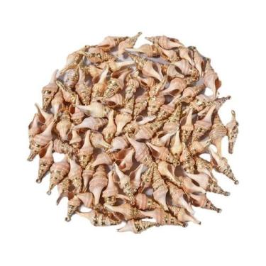 Imagem de Pingentes Espirais De Conchas Perfuradas Coloridas 5 Peças Suprimentos