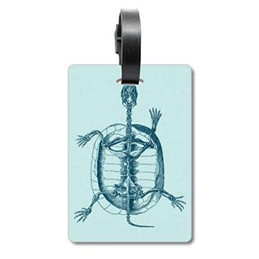 Imagem de Esqueleto Esboço Tartaruga Animal Mala Etiqueta Bagagem Cartão Pendurado Etiqueta Scutcheon Etiqueta, Multicolorido.