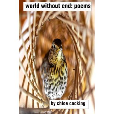 Imagem de world without end: poems