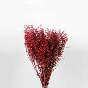 Imagem de Buquê Sementinha Vermelho - Pense Flores