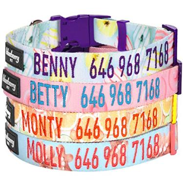 Imagem de Blueberry Pet Coleira de cachorro personalizada, biscoito de gengibre, coleiras de identificação personalizadas grandes e ajustáveis para cães grandes bordadas com nome de animal de estimação e número