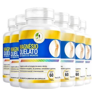 Imagem de Kit C/6 Magnésio Quelato  60 Cápsulas - Fits Life