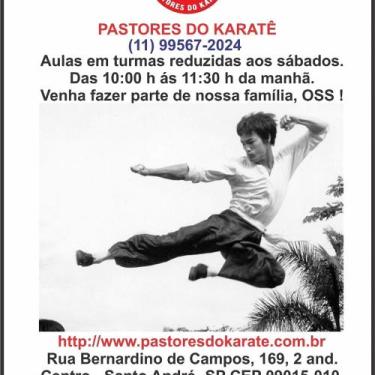 Imagem de Aulas de Karate - Pastores do Karate