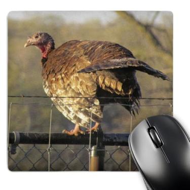 Imagem de 3dRose Wild Turkey at Dusk - Mouse pad, 20 x 20 cm (mp_195202_1)