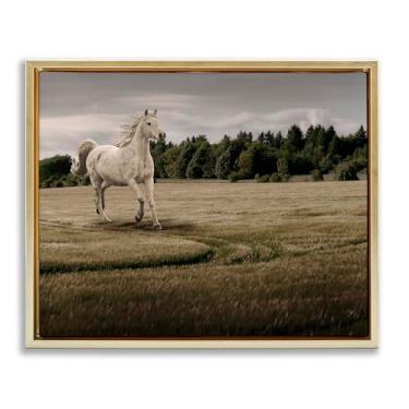 Imagem de Stupell Industries Tela flutuante em ouro galopando pelo campo cavalo emoldurado por Marcus Prime, 43 x 53 cm