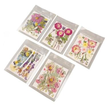 Imagem de Dioche Kit de Flores Prensadas 100 Peças Vibrantes Coloridas Flores Secas Prensadas para Artesanato DIY Joias de Resina Marcadores de Arte de Unhas Decorações de Casamento (imitação de secas 2)