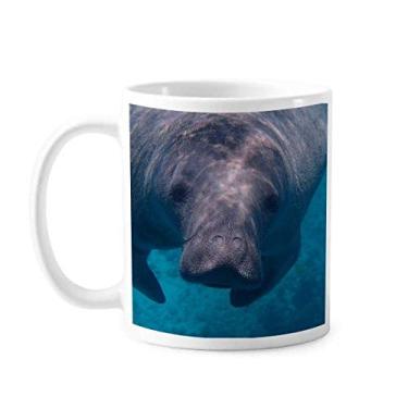 Imagem de Caneca de cerâmica com fotografia de animais de organismo marinho cerâmica xícara de porcelana de café louça