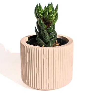 Imagem de Vaso Decorativo Contemporâneo 7cm Em Cimento Artesanal Palha