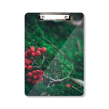 Imagem de Prancheta de frutas vermelhas da floresta, ciência, natureza, paisagem, pasta, bloco de notas A4