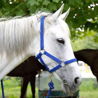 Imagem de ZRSCHYG Cabresto de cavalo, alça de nylon ajustável com ferragens de metal (azul, M)