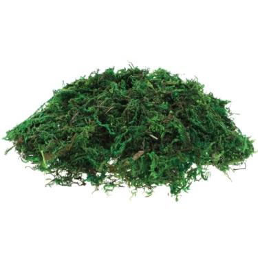 Imagem de HEALEEP Musgo artificial: musgo falso verde simulação de líquen falso para artesanato DIY, vasos de plantas, casa em miniatura, centros de mesa decoração de jardim de fadas (cerca de 100 g)