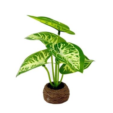 Imagem de Vaso Decorativo De Cimento 14cm Com Planta - Tudo Em Caixa