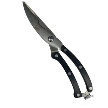 Imagem de Tesoura Trinchante Inox 25CM