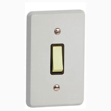 Imagem de Interruptor Cinza 1Tecla Simples C/ Placa Silentoque 1100 - Pial