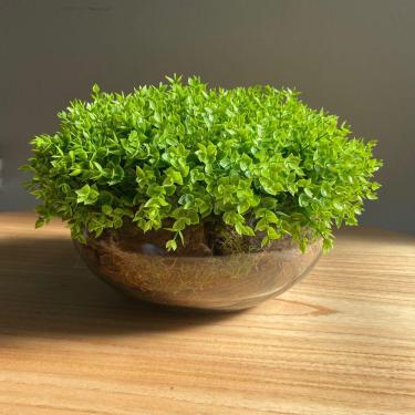 Imagem de Arranjo Grande Centro de Mesa Vaso Incolor com Verdinho