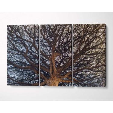Imagem de 3 Quadros em Tecido Canvas Árvore Coroa de Pinheiro Céu - LindaCasaPre
